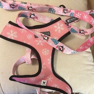 Frenchie bulldog harness